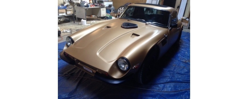 TVR Cl&aacute;sico en Bronce Metalizado!