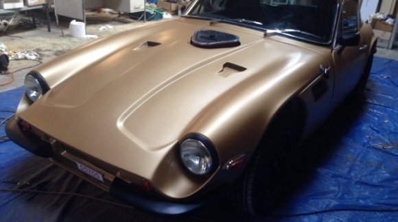 TVR Cl&aacute;sico en Bronce Metalizado!