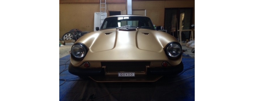 TVR Cl&aacute;sico en Bronce Metalizado!