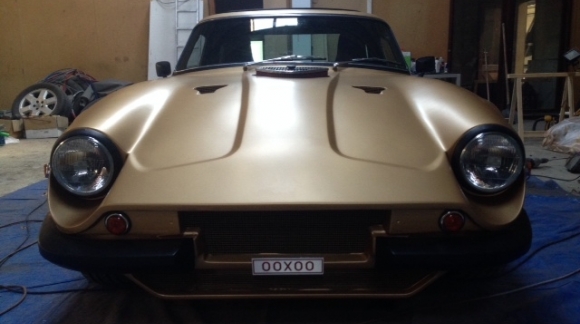 TVR Cl&aacute;sico en Bronce Metalizado!