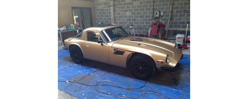 TVR Cl&aacute;sico en Bronce Metalizado!