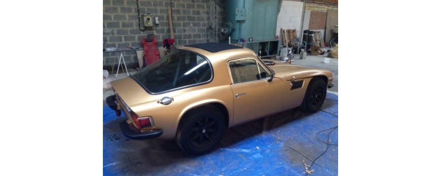 TVR Cl&aacute;sico en Bronce Metalizado!